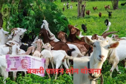 Bakri Palan Loan Yojana