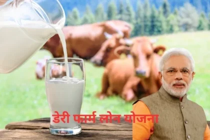 Dairy Farm Loan Online Apply 2024