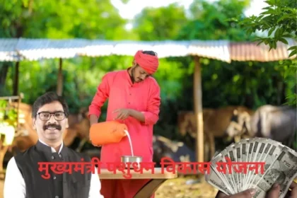 Mukhyamantri Pashudhan Vikas Yojana 2024