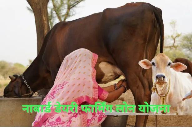NABARD Dairy Loan Scheme
