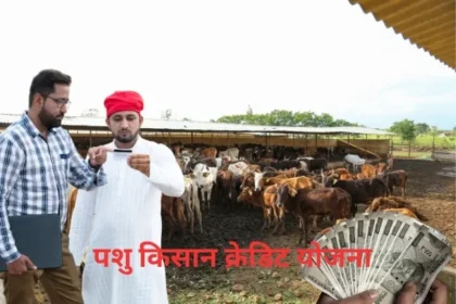 Pashu Kisan Credit Card Yojana 2024