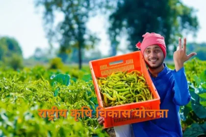 Rashtriya Krishi Vikas Yojana