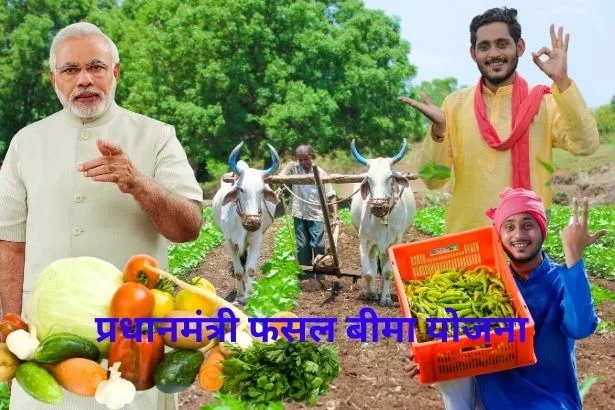 Pm Fasal Bima Yojana