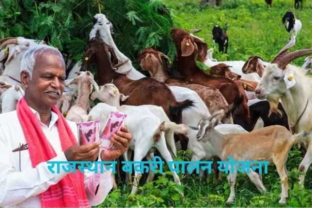 Rajasthan Bakri Palan Yojana