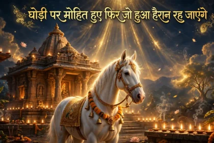 घोड़ी पर मोहित हुए फिर जो हुआ हैरान रह जाएंगे