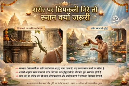 शरीर पर गिरे छिपकली तो स्नान क्यों जरूरी?